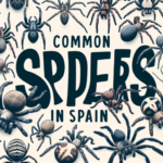 arañas comunes en españa