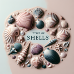 tipos de conchas