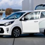 pexels photo 20475010