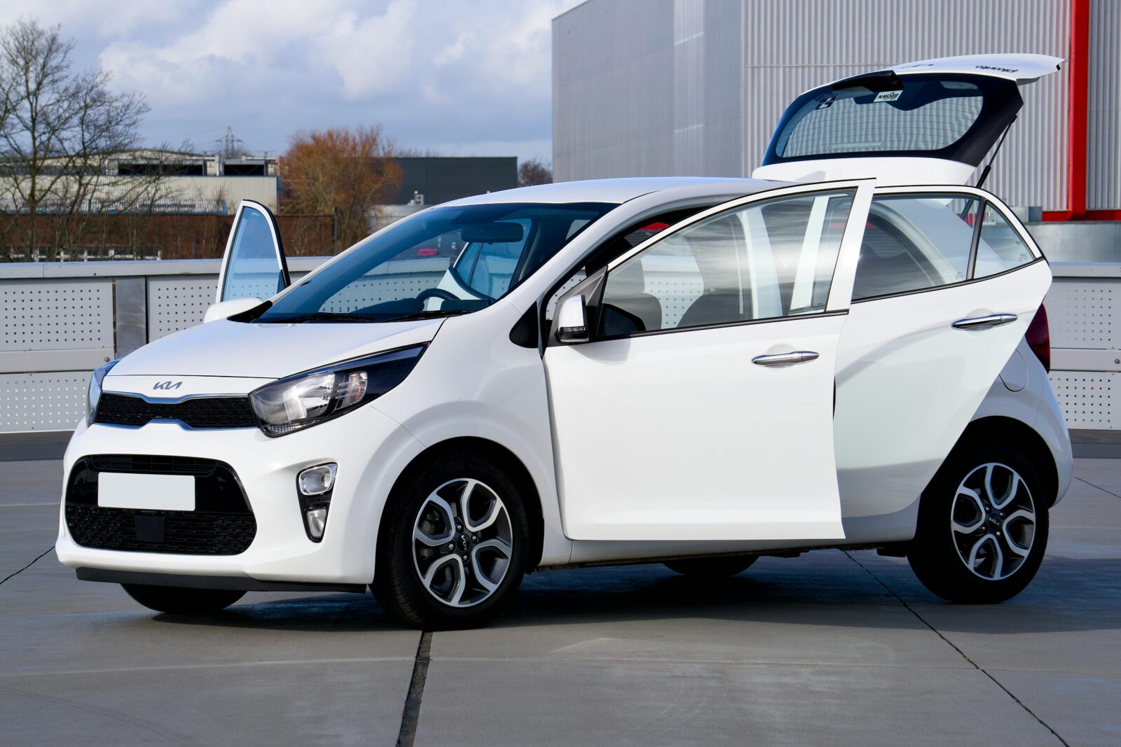 pexels photo 20475010