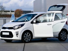 pexels photo 20475010